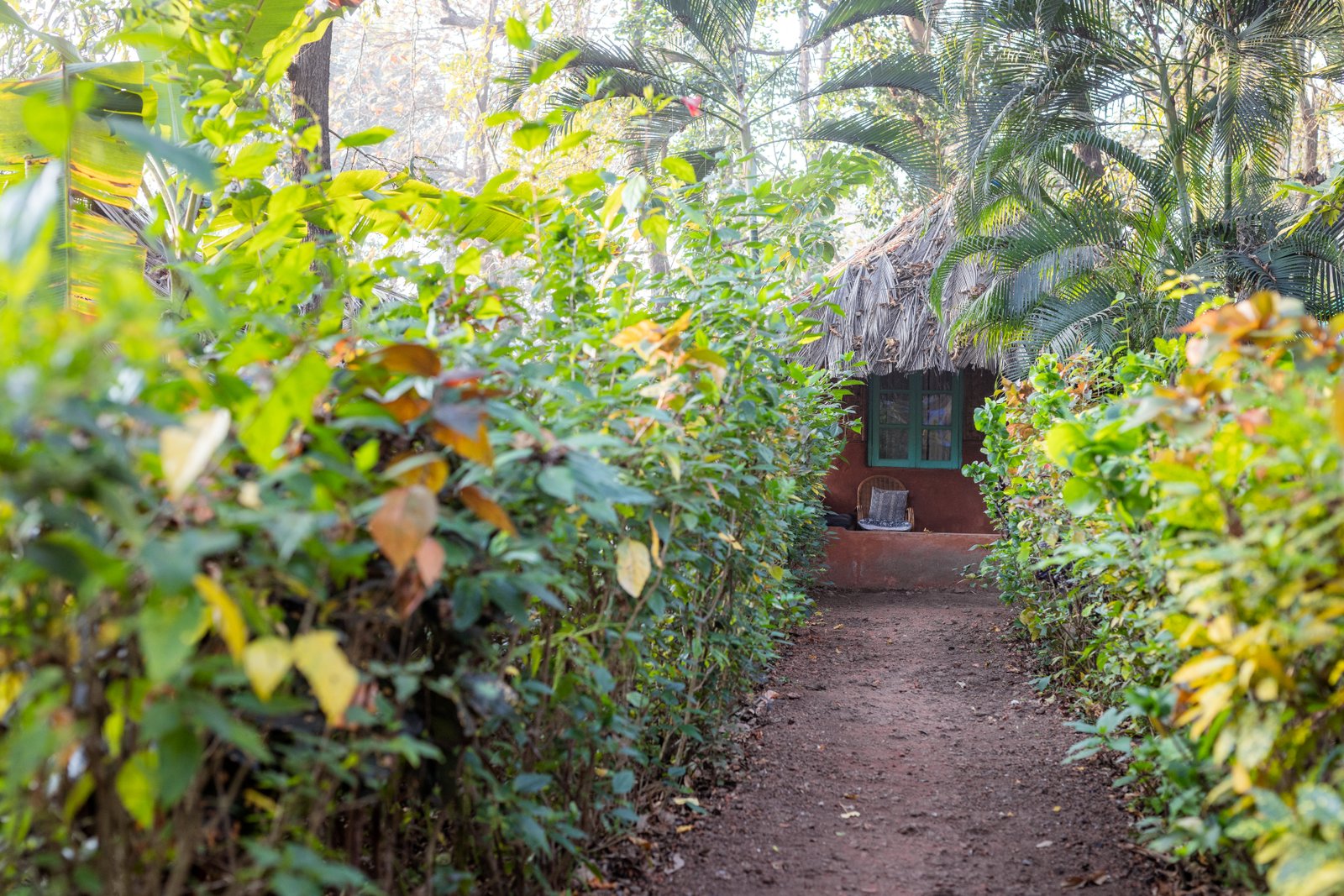 Deluxe Cottage — garden approach