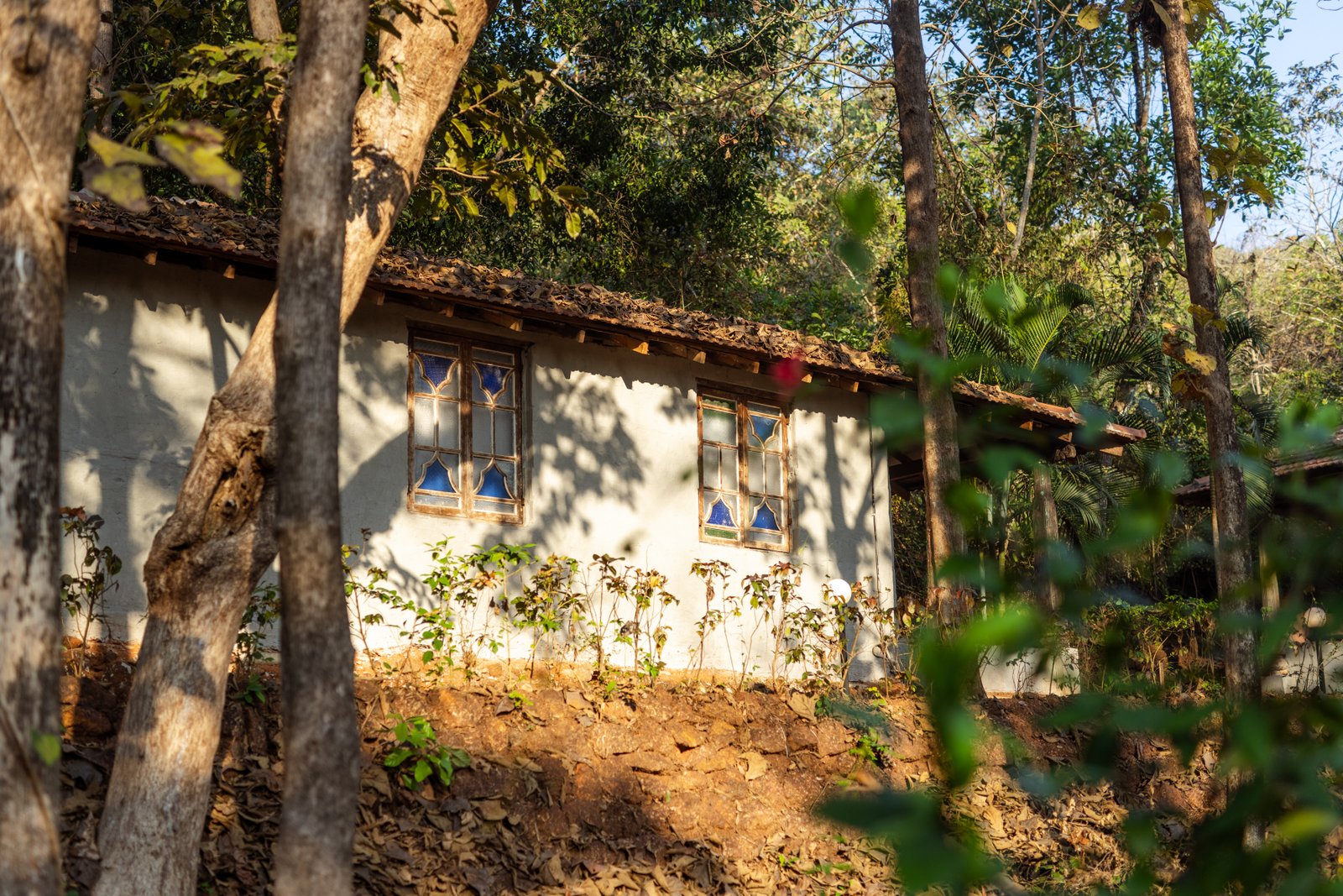 Deluxe Cottage at SWAN Ayurveda