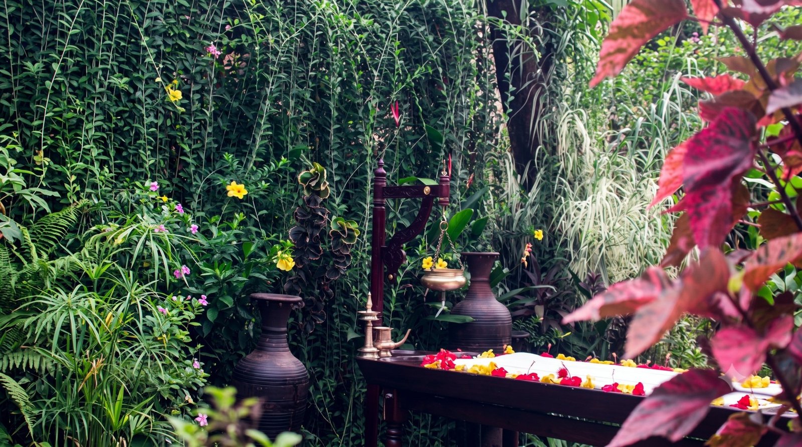 Best Ayurveda in India